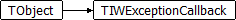 TIWExceptionCallback