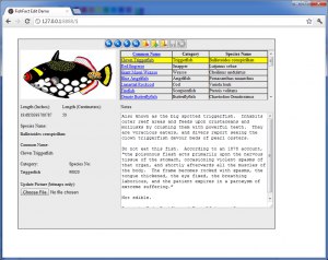Internet Application Gateway, 1994